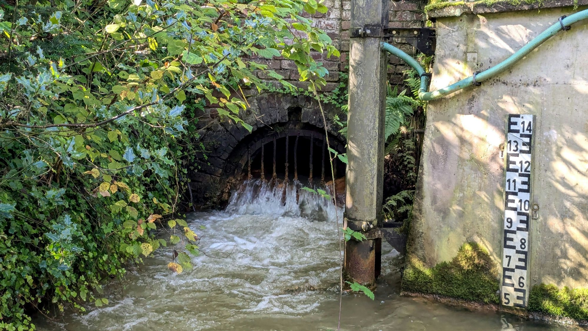 Das Mundloch des Burgfeyer Stollens. Rechts misst ein Pegel die Wassertiefe.