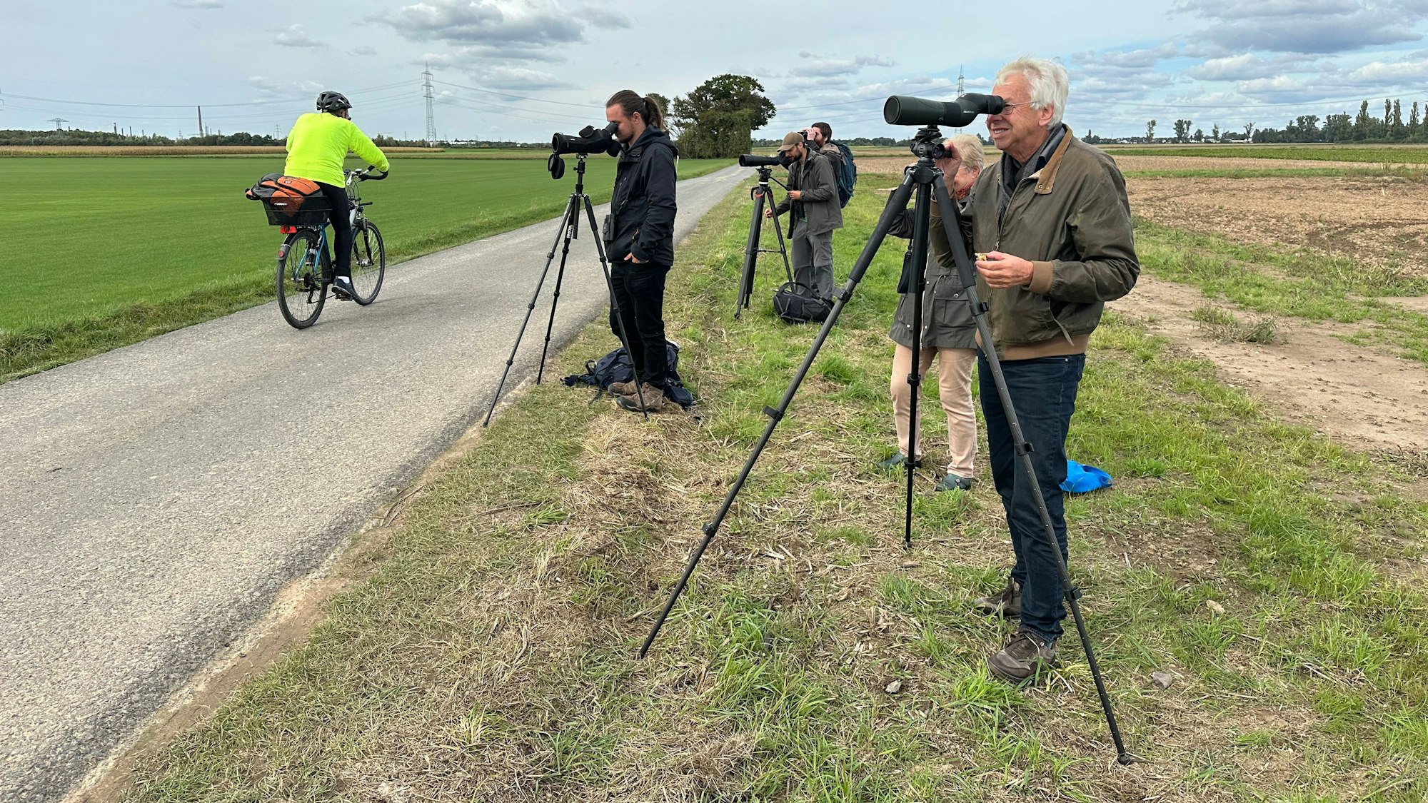 Gartenspottdrossel in Niederkassel-Rheidt entdeckt