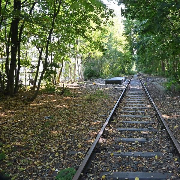 Das Foto zeigt den Gladbacher Bahndamm.