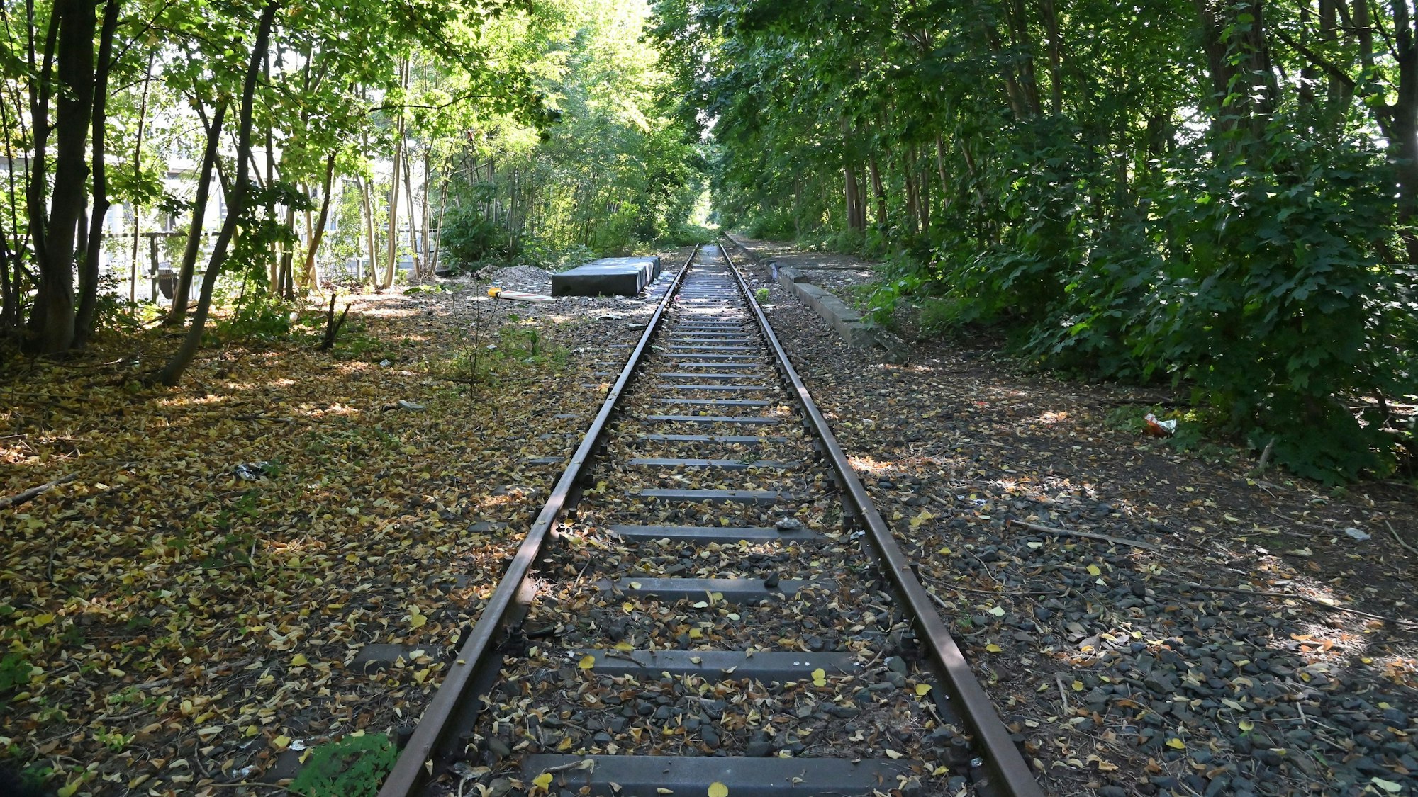 War, ist und bleibt ein Zankapfel: Der alten Bahndamm in Bensberg.