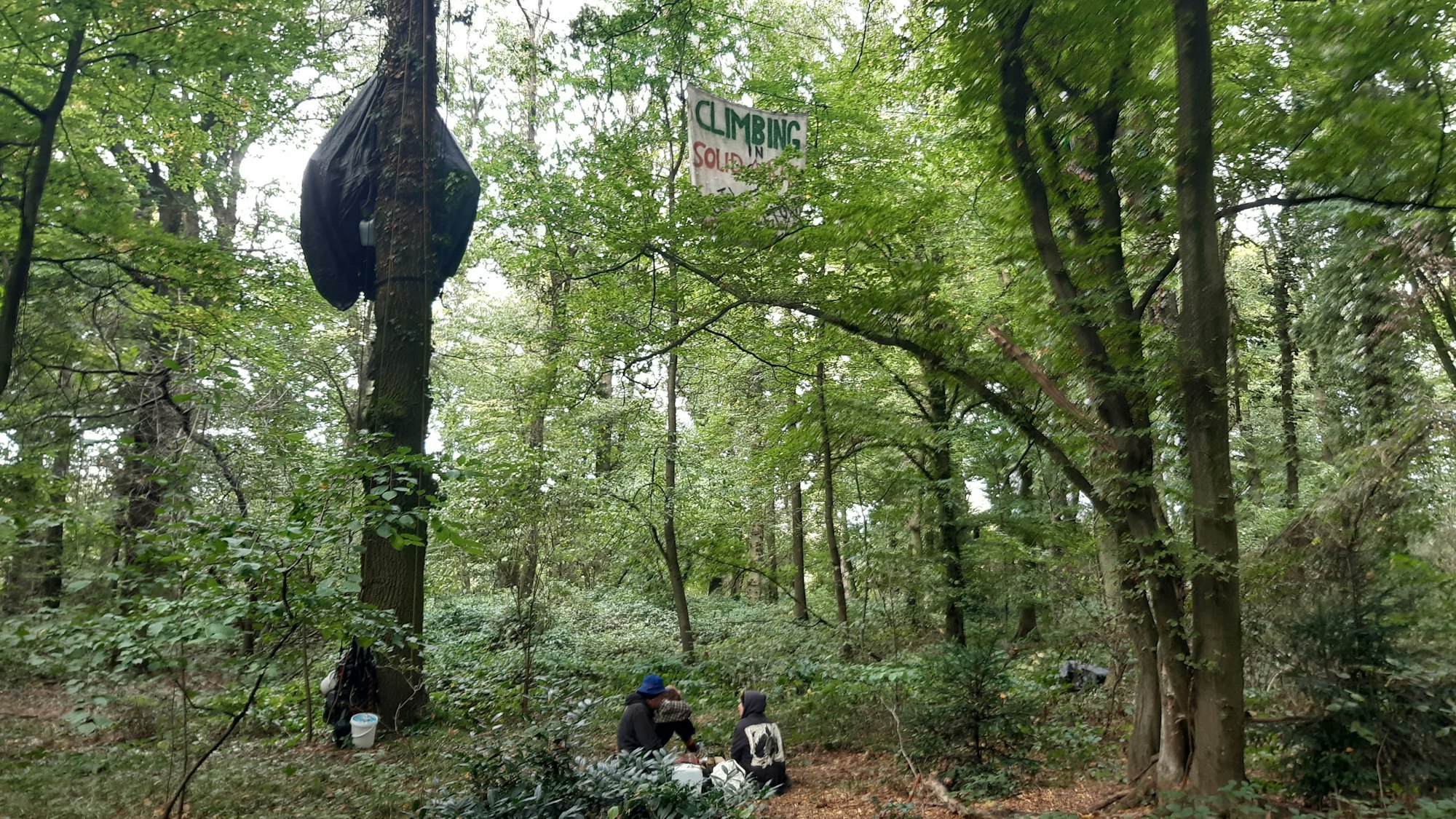 Das Foto zeigt zwei Aktivisten in einem Wald.