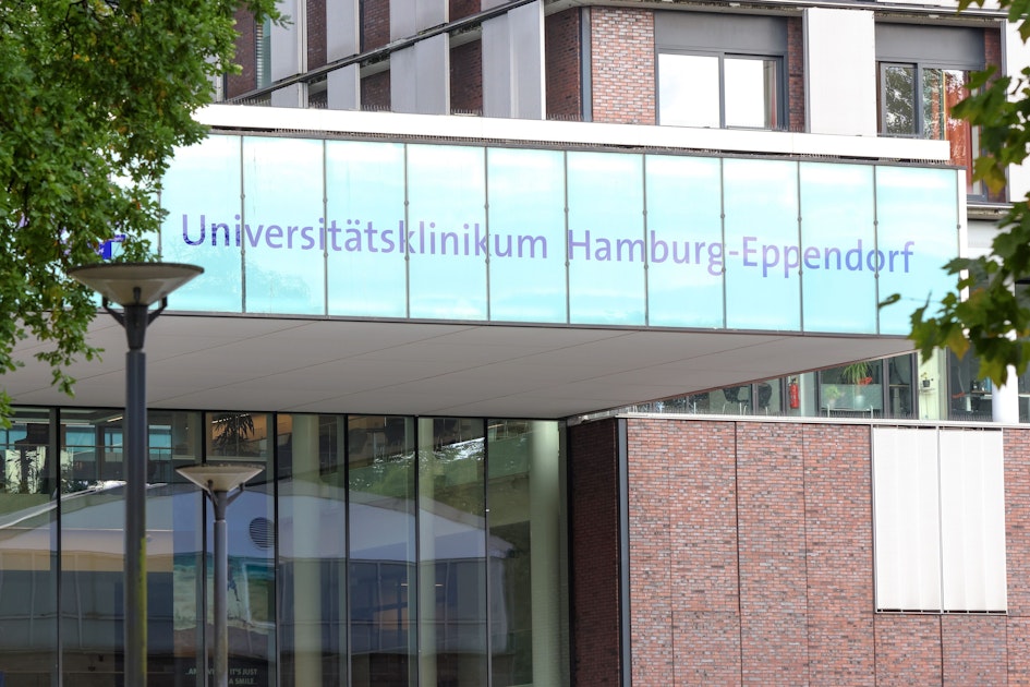 Illness with high mortality rate: Suspected Marburg virus not confirmed in ...