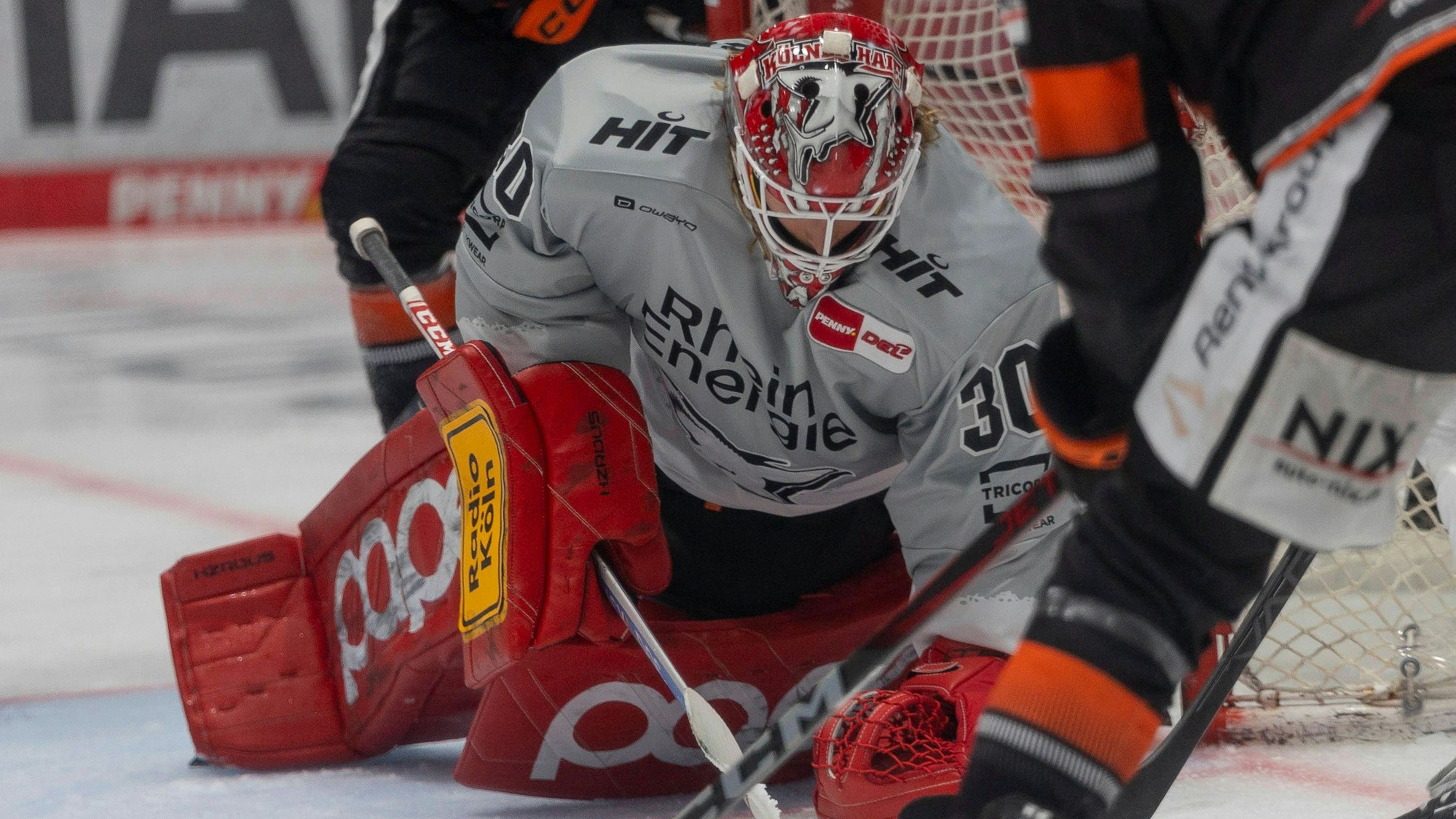 PENNY DEL: Löwen Frankfurt - Kölner Haie, 01.10.2024 Mirko Pantkowski Kölner Haie 30 hat die Hadn auf dem Puck, Löwen Frankfurt - Kölner Haie, Frankfurt, NIX Eissporthalle, 1.10.2024 *** PENNY DEL Löwen Frankfurt Kölner Haie, 01 10 2024 Mirko Pantkowski Kölner Haie 30 hat die Hadn auf dem Puck, Löwen Frankfurt Kölner Haie, Frankfurt, NIX Eissporthalle, 1 10 2024 Copyright: xBEAUTIFULxSPORTS/Gawlikx
