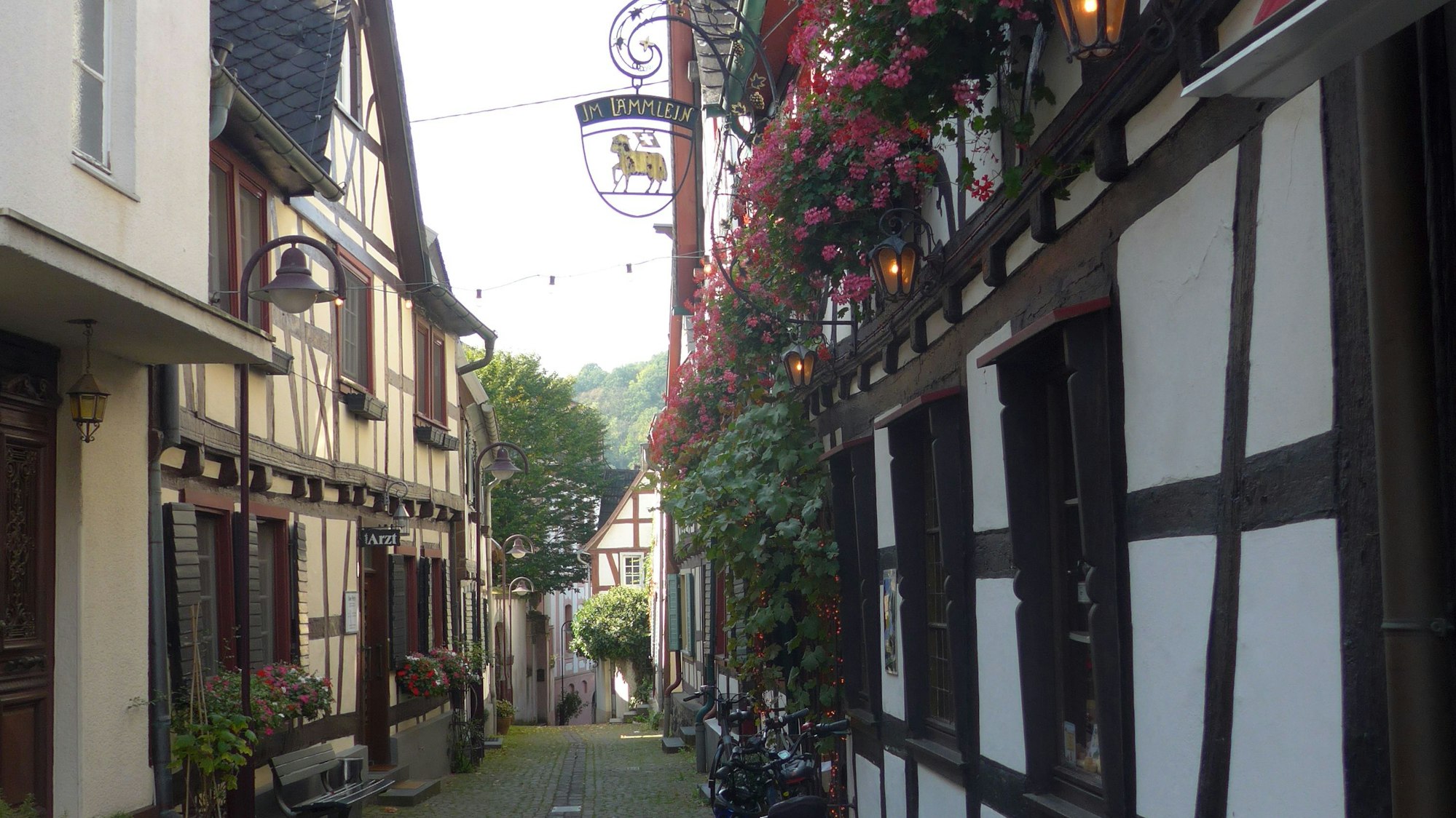 Romantisch: „Lämmlein“ in Unkel.