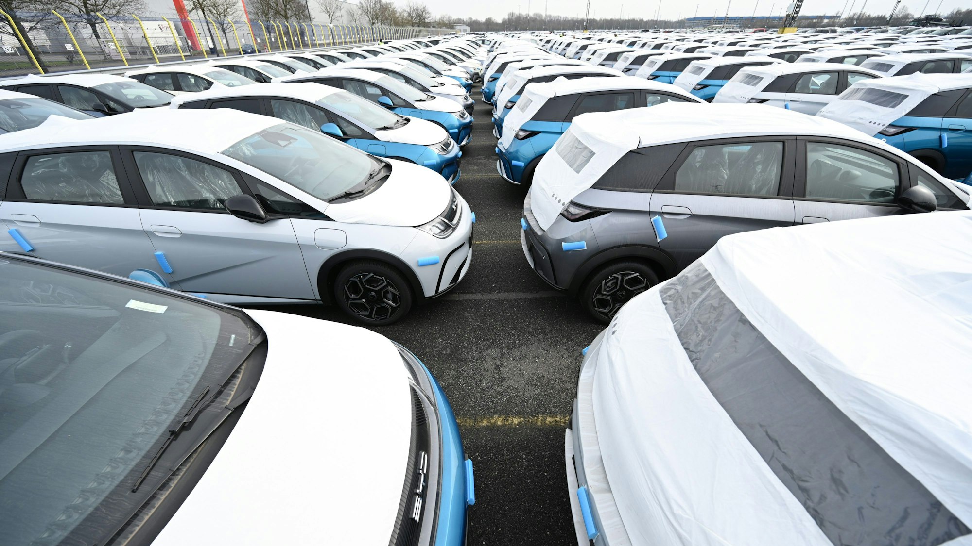 Zahlreiche Neuwagen des Modells Dolphin vom Autohersteller BYD stehen im BLG Auto Terminal Bremerhaven. (Symbolbild)