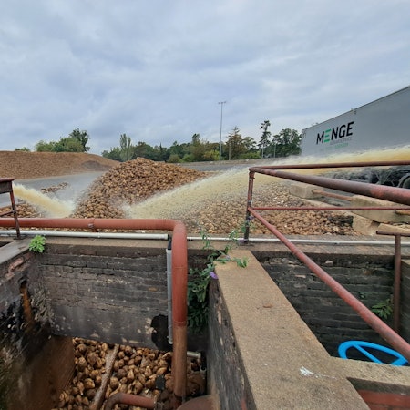 In der Zuckerfabrik von Pfeifer & Langen in Euskirchen werden die Rüben mit Wasser gereinigt.