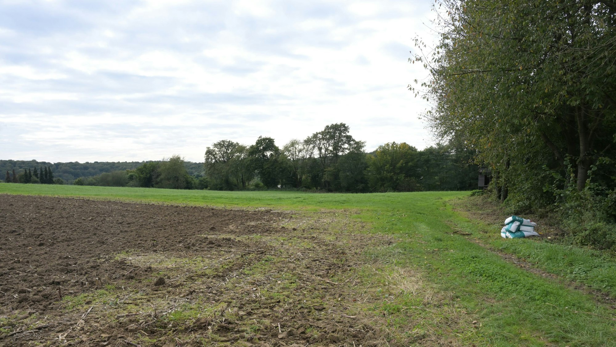 Auf einer Fläche zwischen Schönrather Straße und Sülztalstraße soll die Solaranlage Münchenberg entstehen, die bisher größte Anlage in Rösrath mit circa 7300 Modulen.