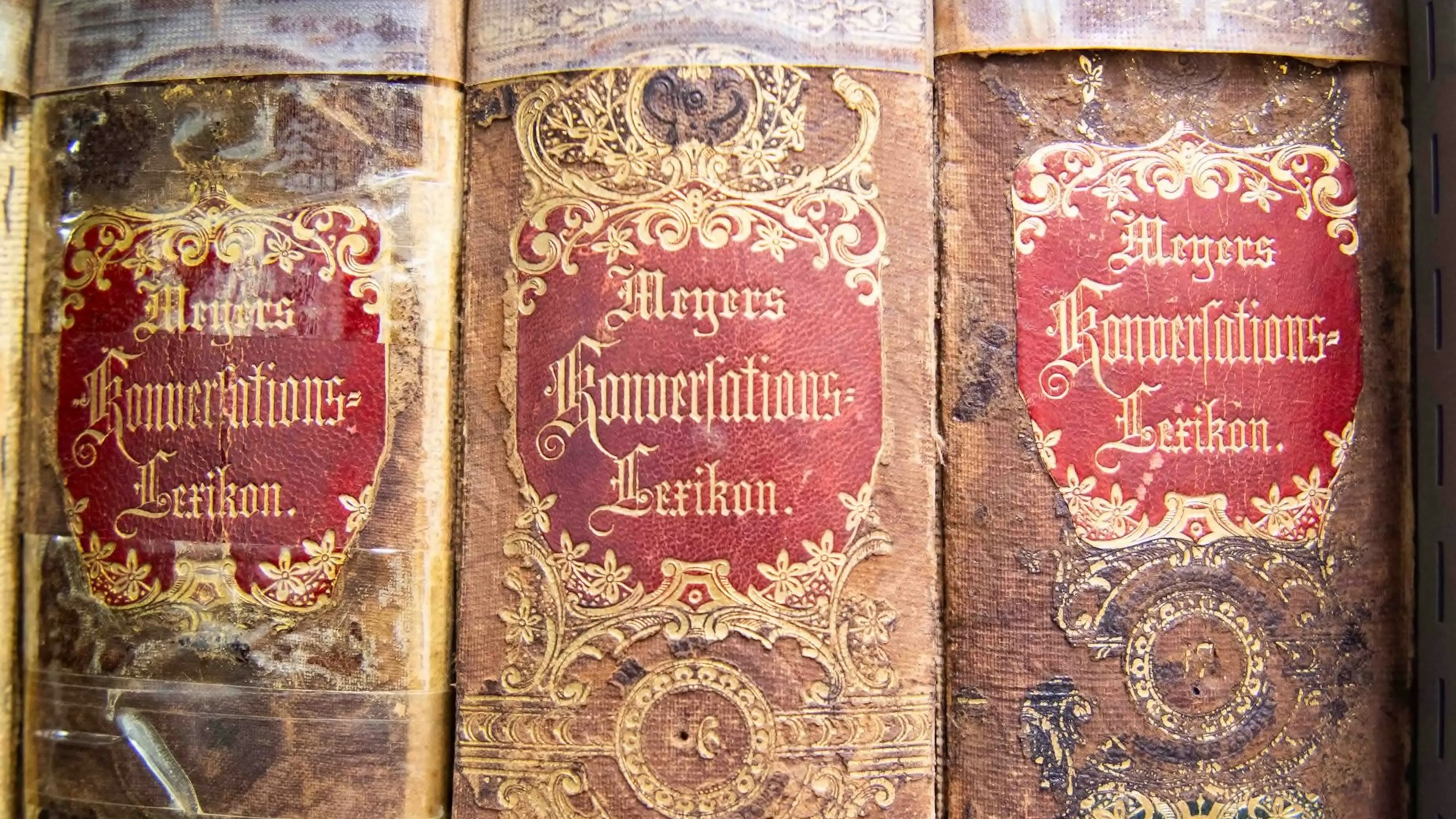 Buchrücken sehr alter Bücher, auf denen der Titel „Meyers Konversationslexikon“ zu lesen ist.
