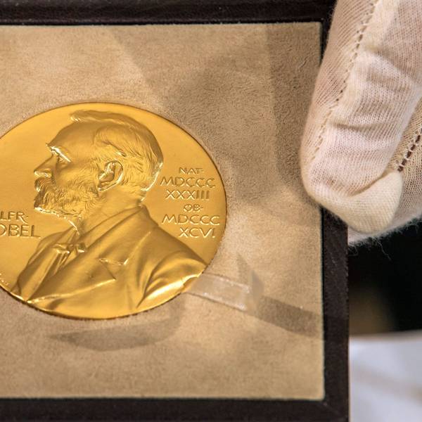 Eine Hand hält vor der Übergabe des Nobelpreises für Physik an den deutschen Physiker Genzel die goldene Medaille. (Archivbild)