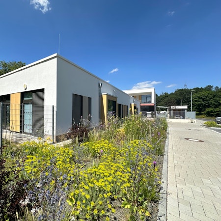 Die neue Blühfläche an der Kita Wellenstraße lockt Insekten an.