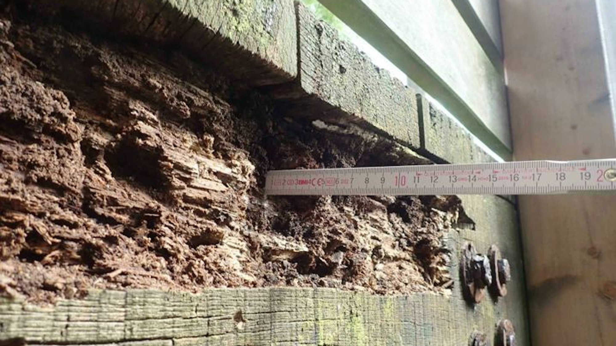 Ein Zollstock steckt tief in verwittertem Holz.