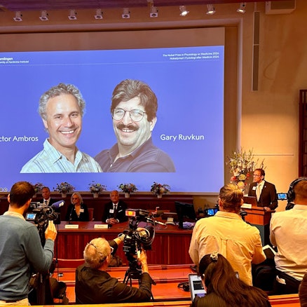 07.10.2024, Schweden, Stockholm: Thomas Perlmann (r), Sekretär der Nobelversammlung, verkündet die Gewinner des Nobelpreises für Medizin 2024, Victor Ambros (l-r, Leinwand) und Gary Ruvkun, von denen Fotos auf eine Leinwand projiziert werden.