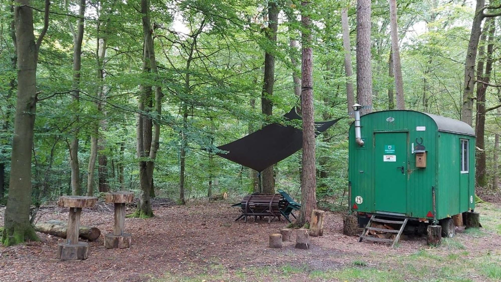 Ein grüner Bauwagen der Waldarbeiter steht in einem Waldstück bei Blankenheim-Dollendorf.