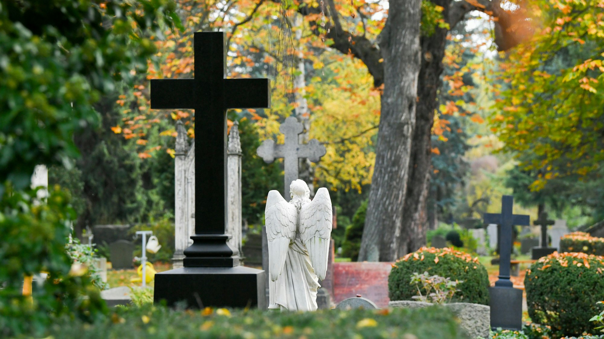 Gräber und herbstlich gefärbte Bäume auf dem Trinitatisfriedhof.