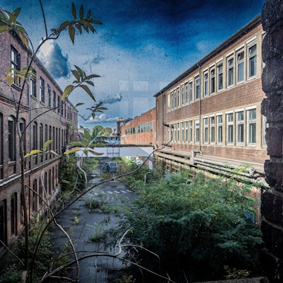 Pflanzen wachsen im Innenhof der alten KHD-Hauptverwaltung in Köln-Mülheim.