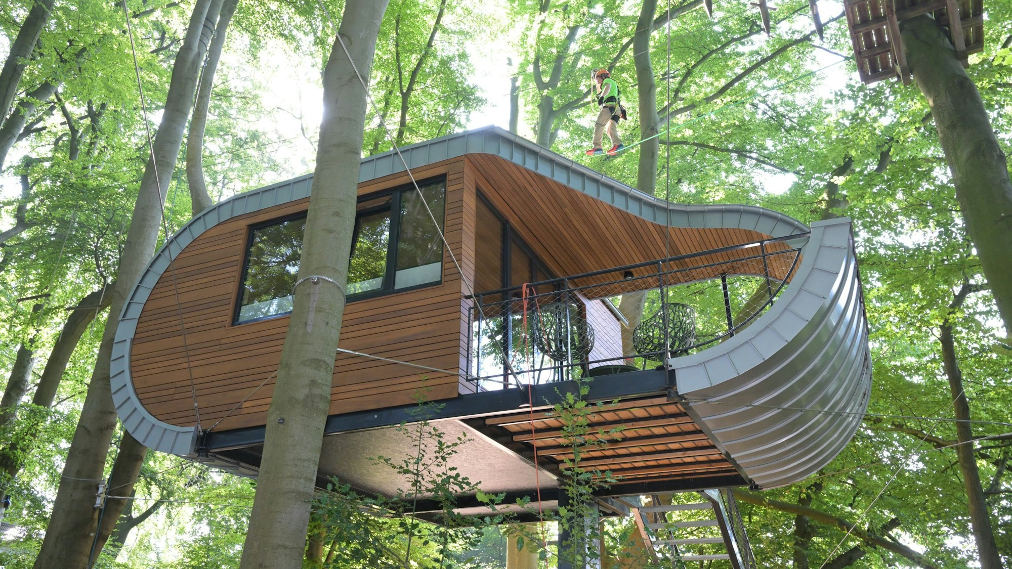 Ein Baumhaus hängt wie ein großer Schlitten im Buchenwald.