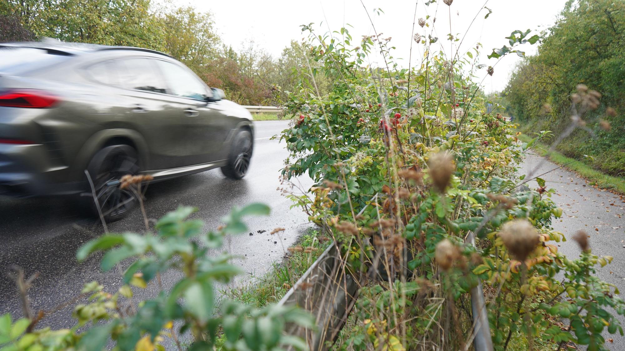 Das Bild zeigt ein Auto, das an einem überwucherten Grünstreifen vorbeifährt.