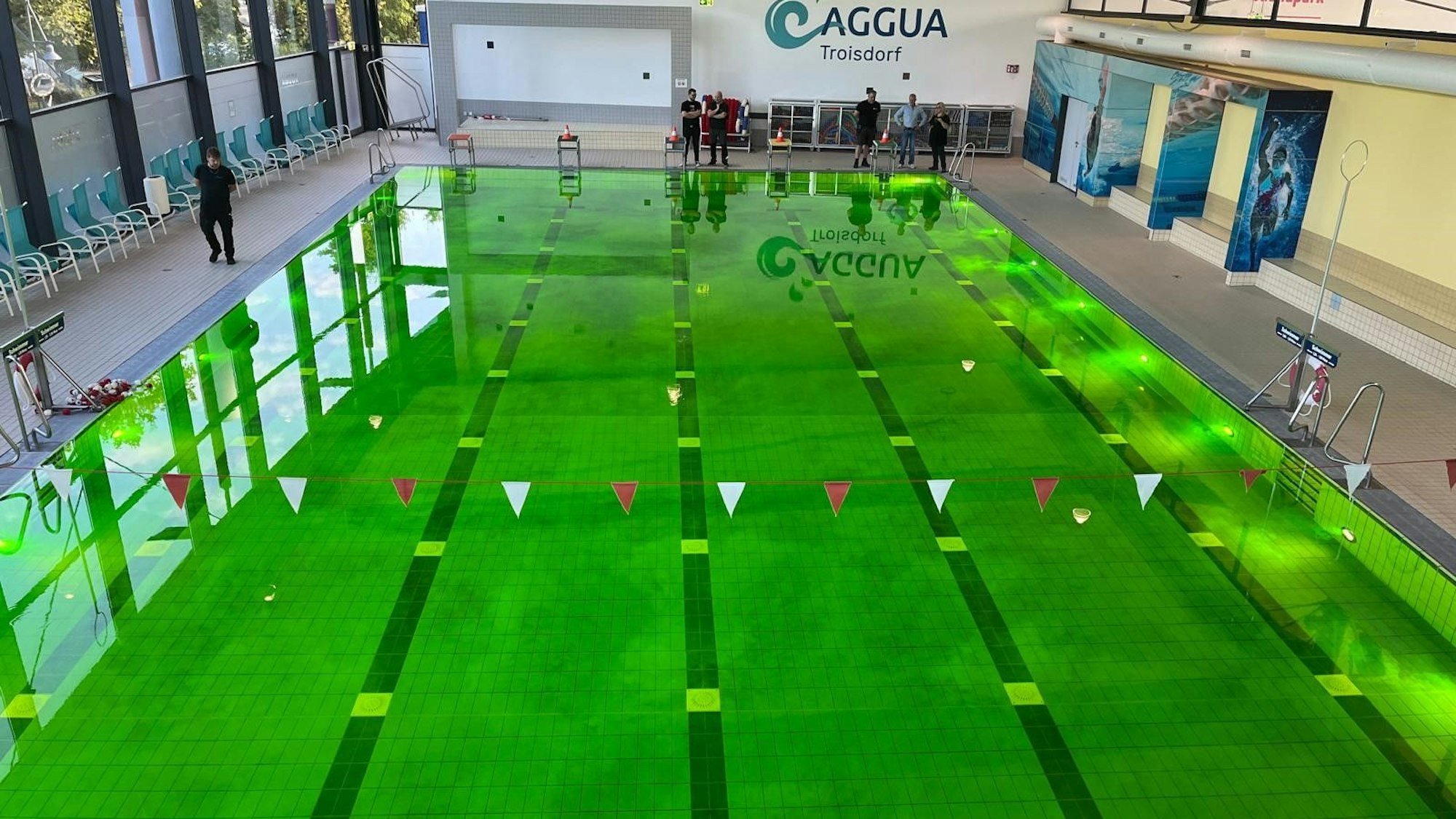 Schwimmbecken mit grün gefärbtem Wasser.