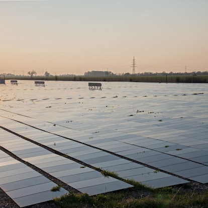 Eine Solaranlage mit flach auf dem Boden montierten Photovoltaik-Elementen liegt im Abendlicht.
