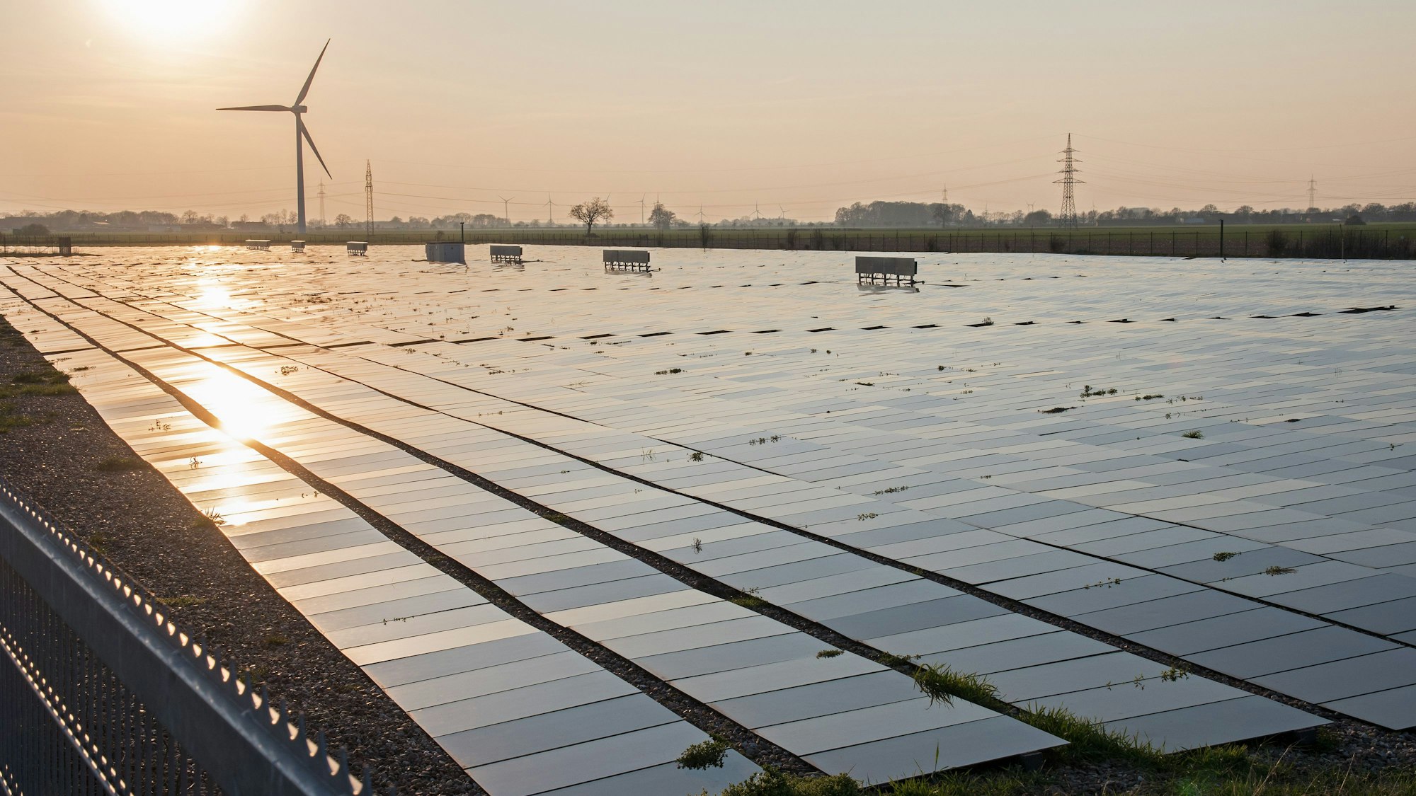 Eine Solaranlage mit flach auf dem Boden montierten Photovoltaik-Elementen liegt im Abendlicht.