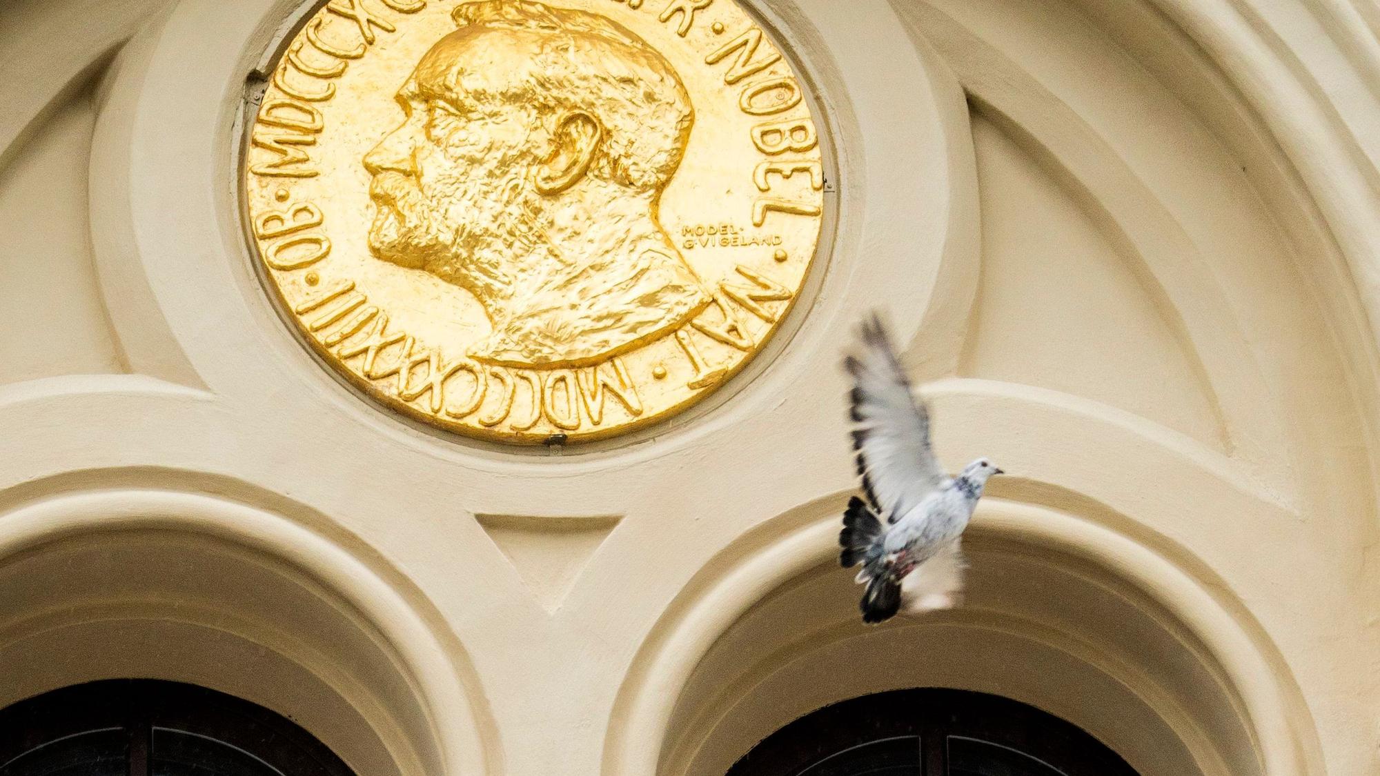 Eine Taube fliegt an einem Eingang vorbei, an dem eine große Münze mit dem Gesicht von Nobel angebracht ist, vorbei.