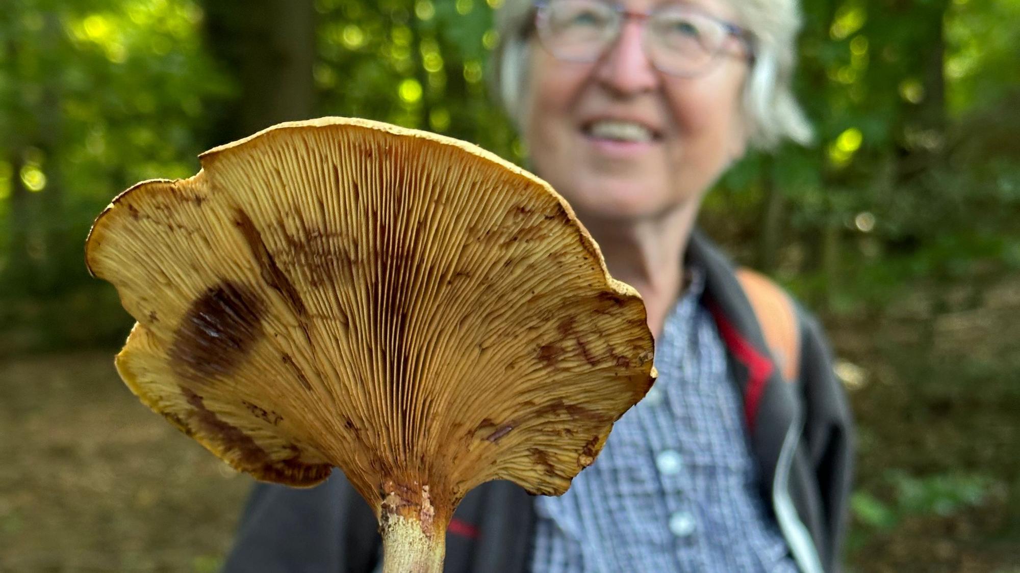 Eine Frau hält einen großen Lamellenpilz in der Hand.