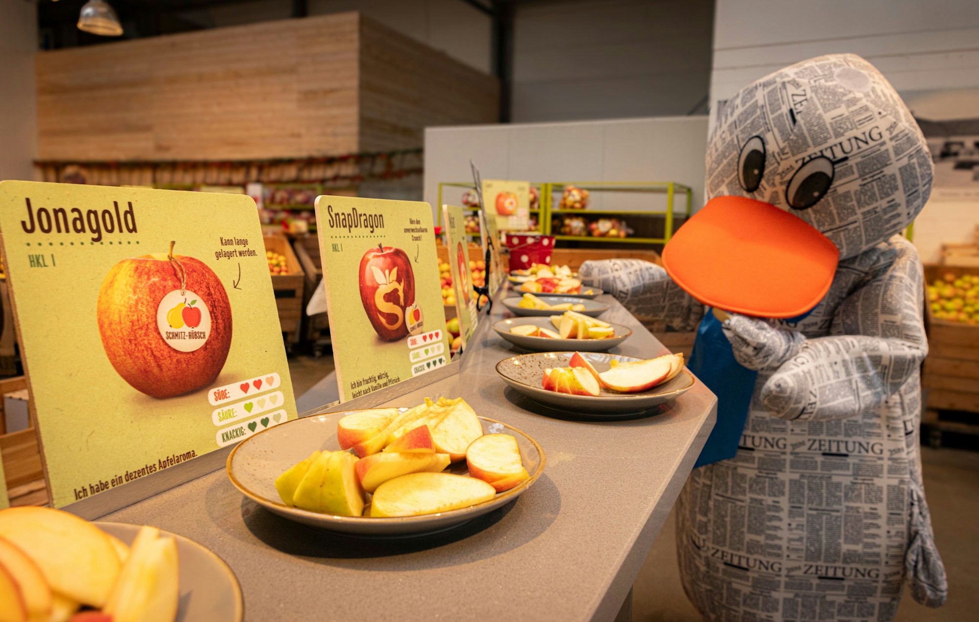 Viele verschiedene Apfelsorten gibt es zum Probieren.