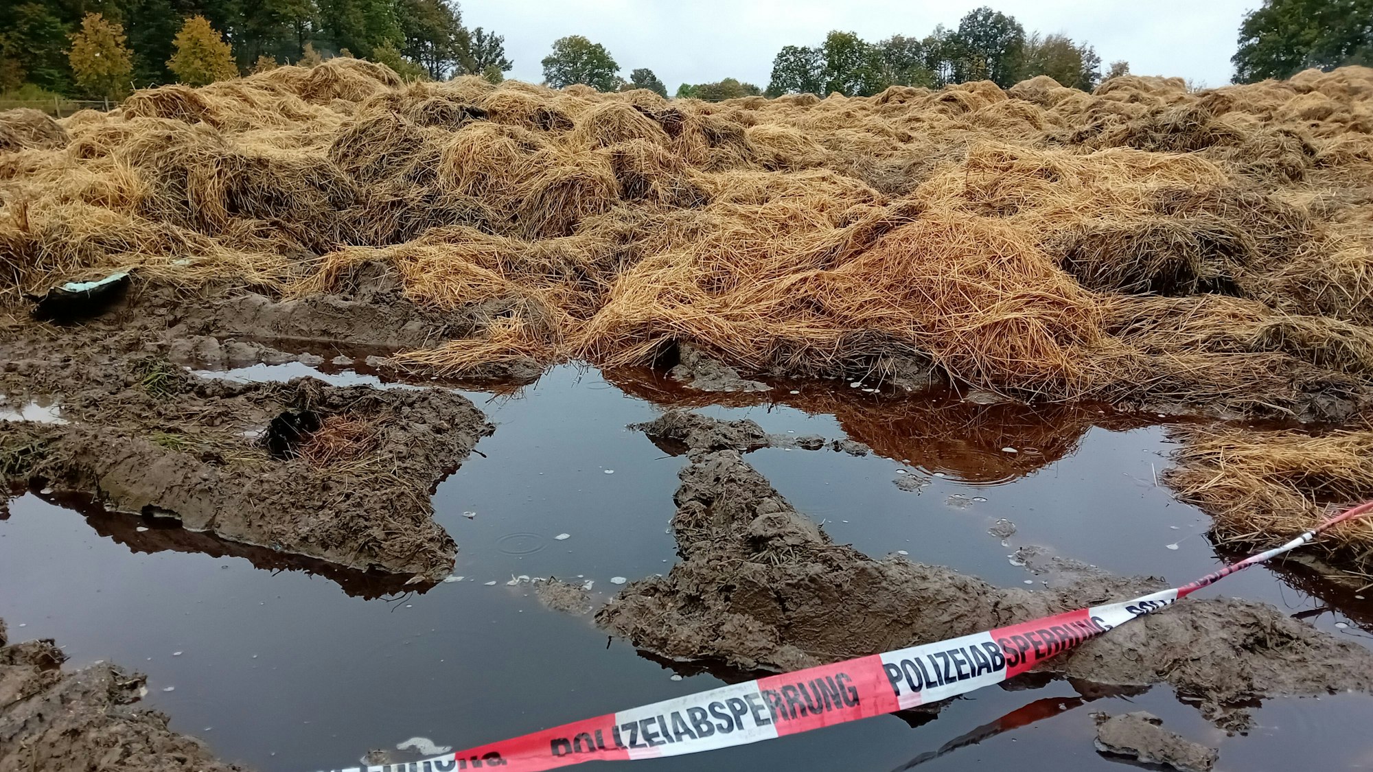 Überreste der Heuballen nach dem Brand nahe Wiehl-Brächen.