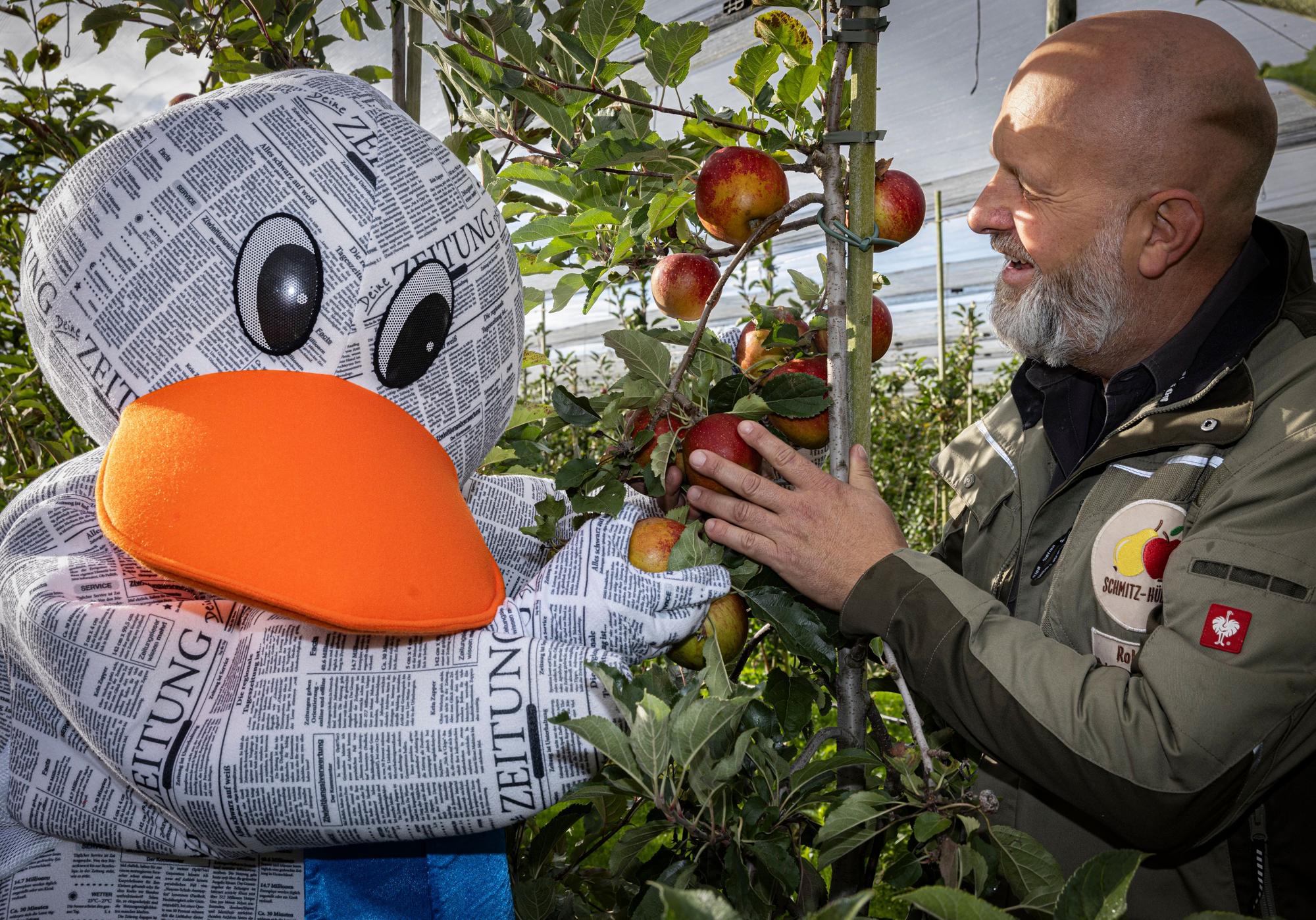 Obstbauer Roland Schmitz-Hübsch aus Bornheim erklärt Zeitungsente Paula alles über die leckeren Äpfel.