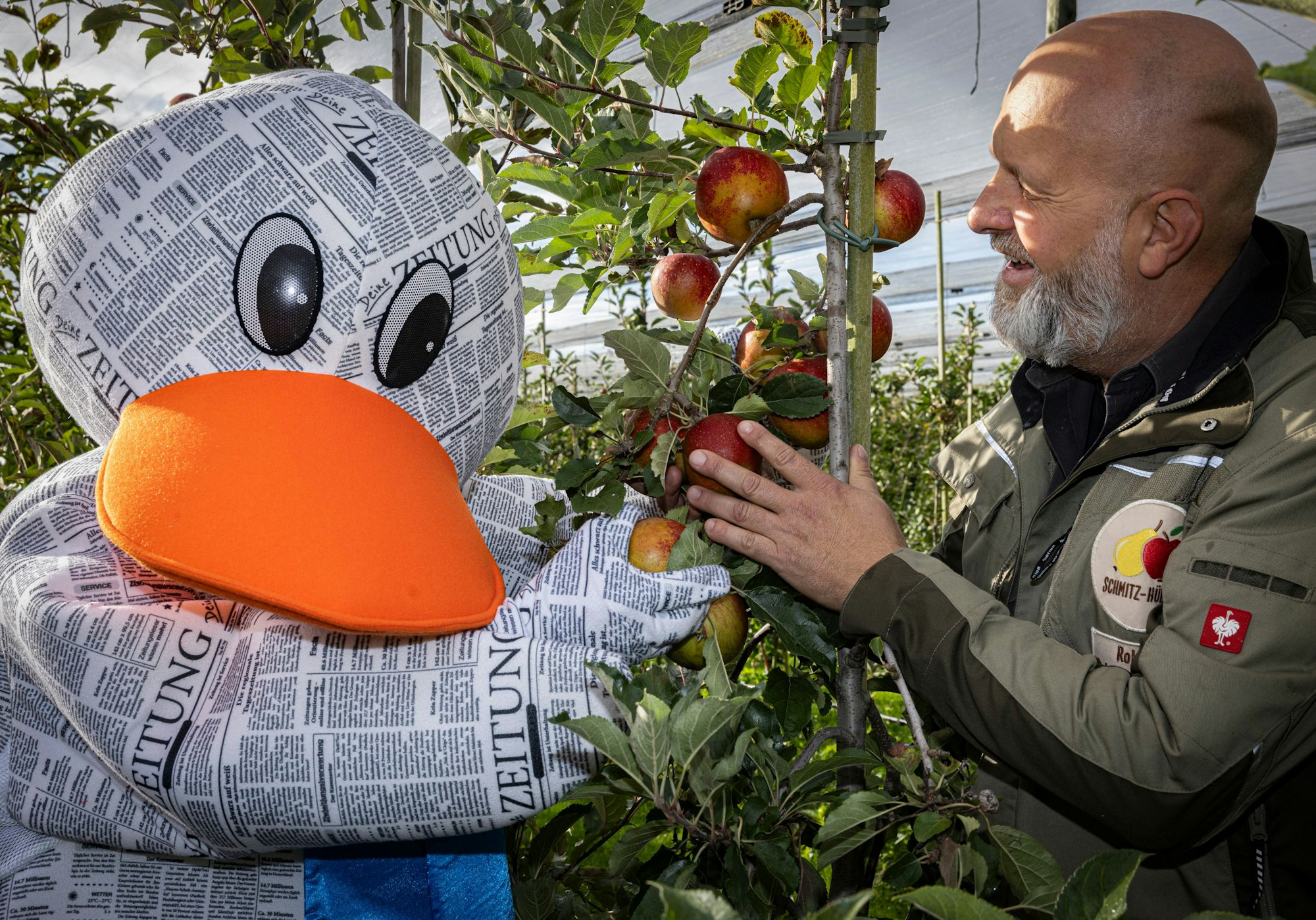 Obstbauer Roland Schmitz-Hübsch aus Bornheim erklärt Zeitungsente Paula alles über die leckeren Äpfel.