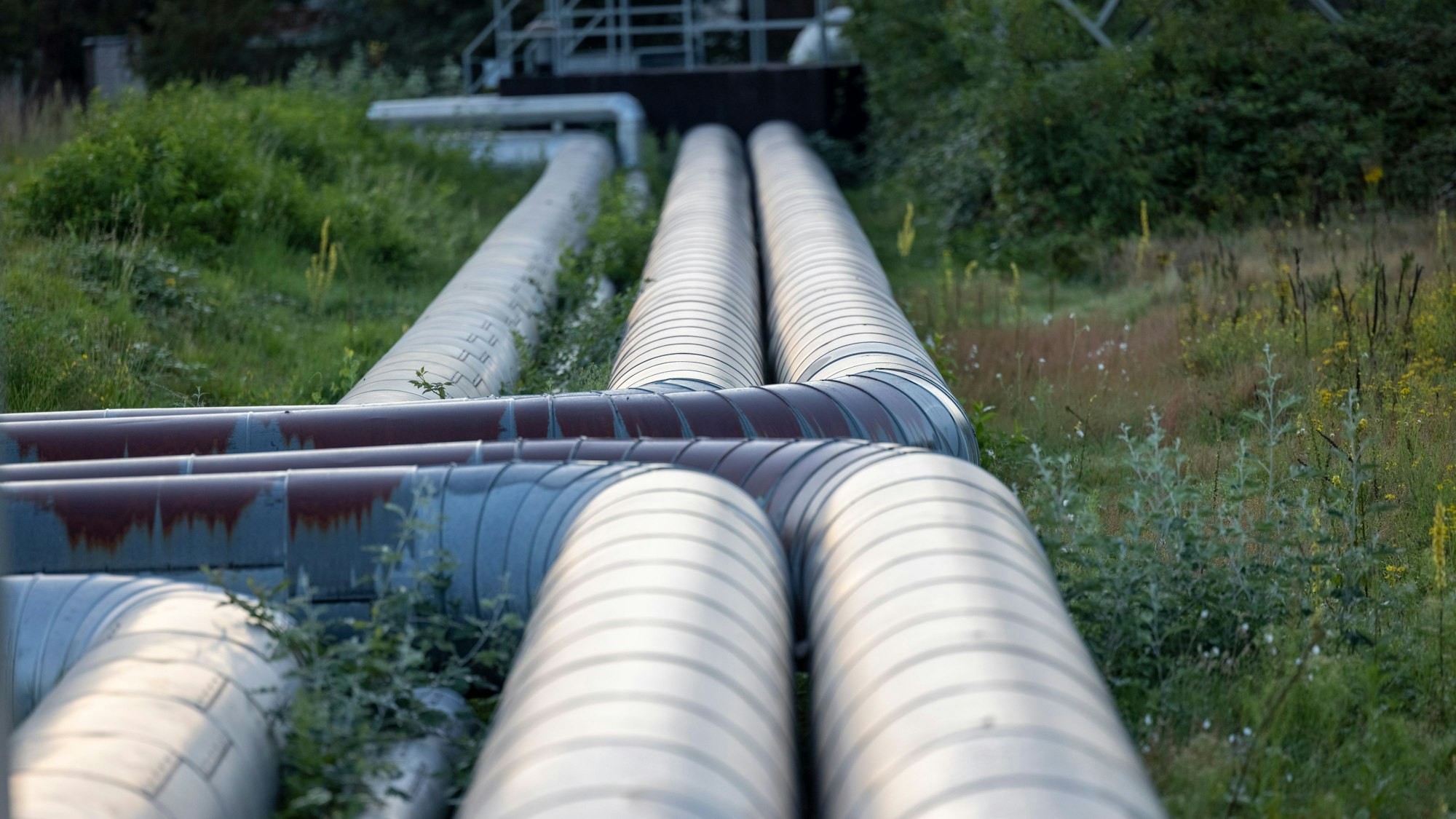 Rohre liegen auf einer Wiese.