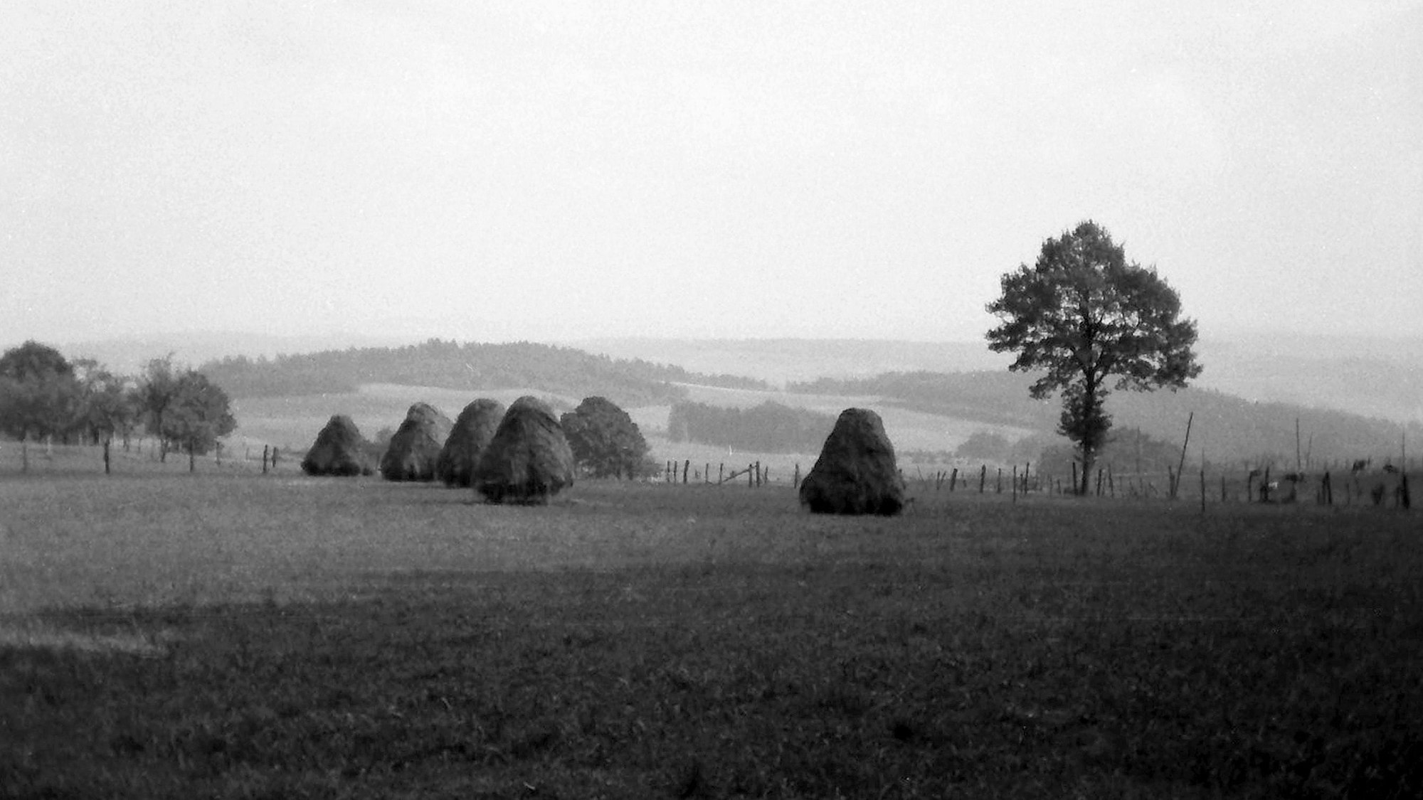 Eine schwarz-weiße Landschaftsaufnahme aus dem Leuscheider Land.