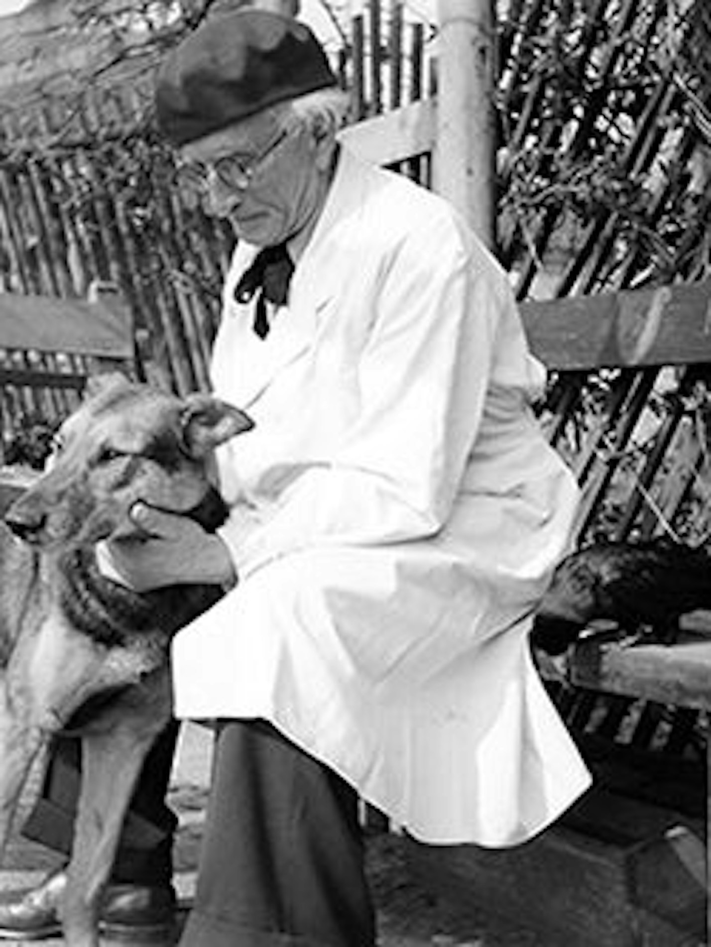 August Sander mit seinem Schäferhund und dem gezähmten Raben "Köbes".