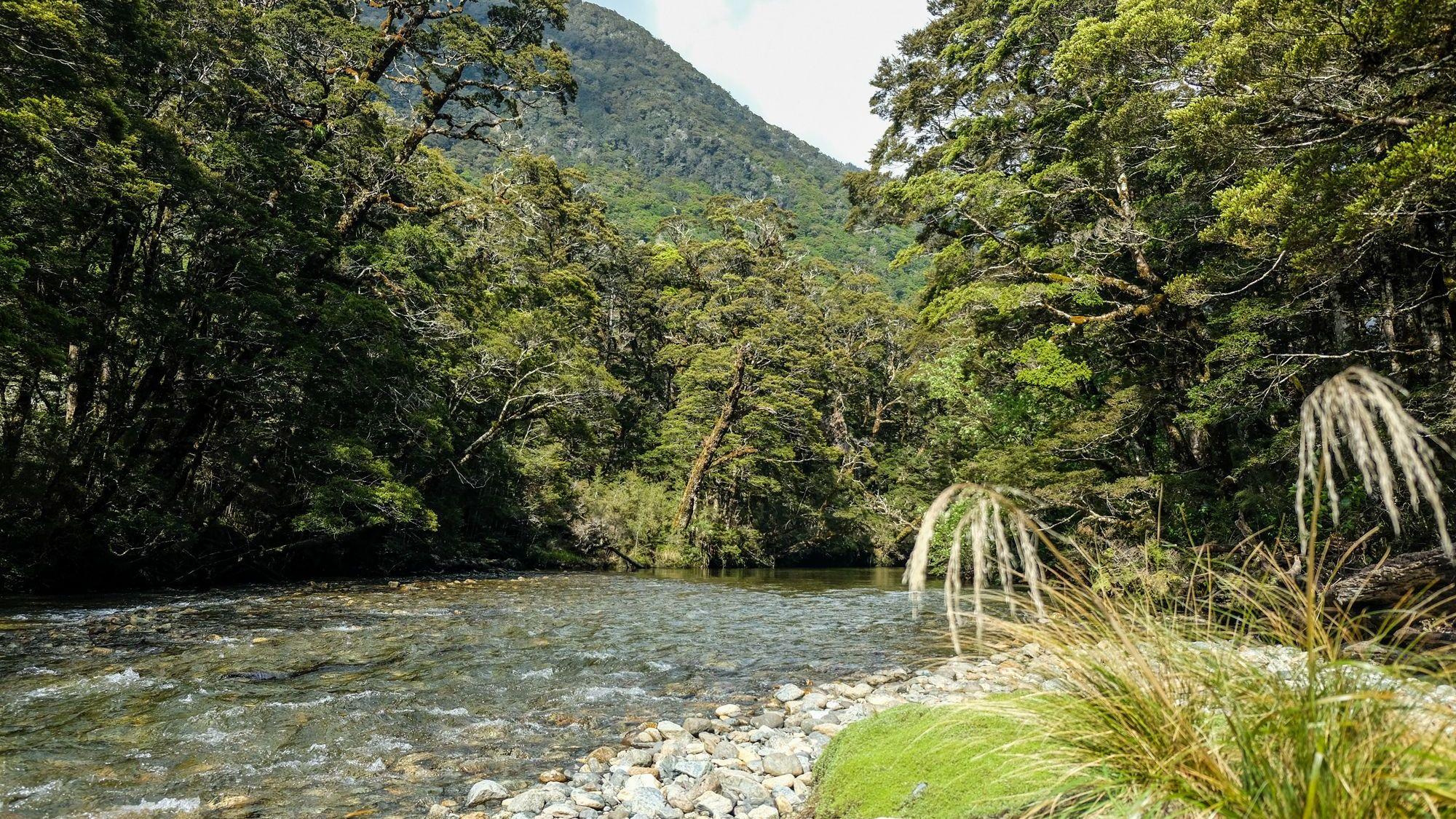 Neuseeland