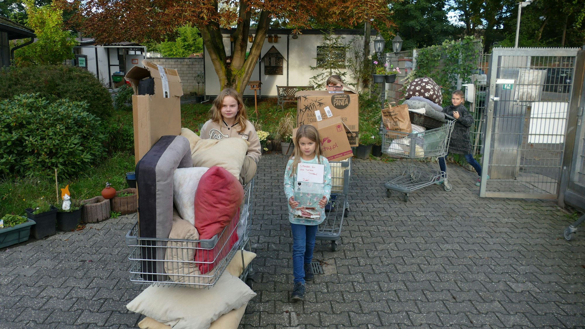 Drei vollgepackte Einkaufswagen mit Decken und Kissen für die Tiere schoben die vier Kids aufs Gelände.
