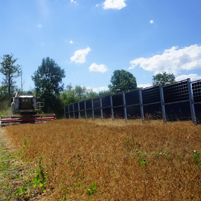 Ein Traktor fährt durch zwei Reihen einer vertikalen Agri-PV-Anlage auf einem Feld. Eine derartige Anlage soll 2026 auch in Zülpich gebaut werden.