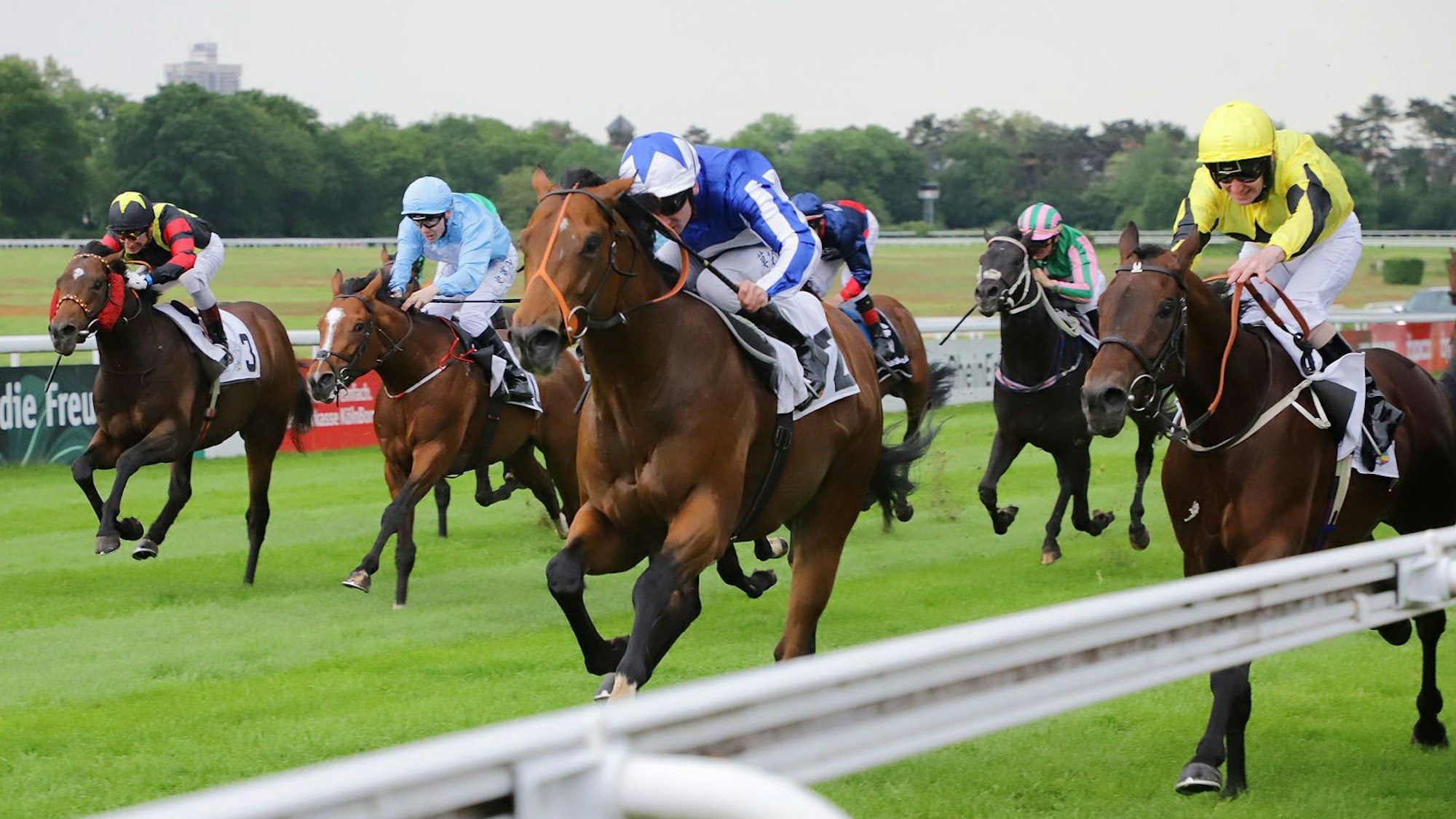 Ein Rennen auf der Galopprennbahn in Köln-Weidenpesch (Archivbild)