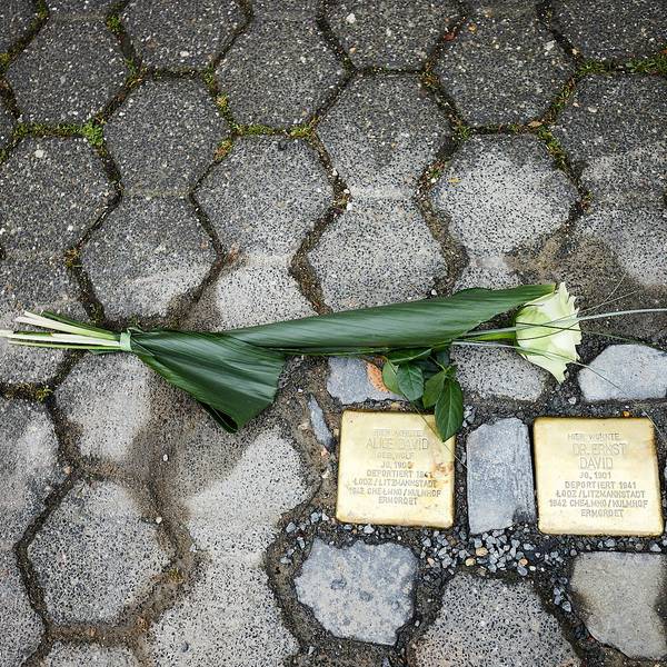 Das Bild zeigt die Stolpersteine für Alice und Ernst David.