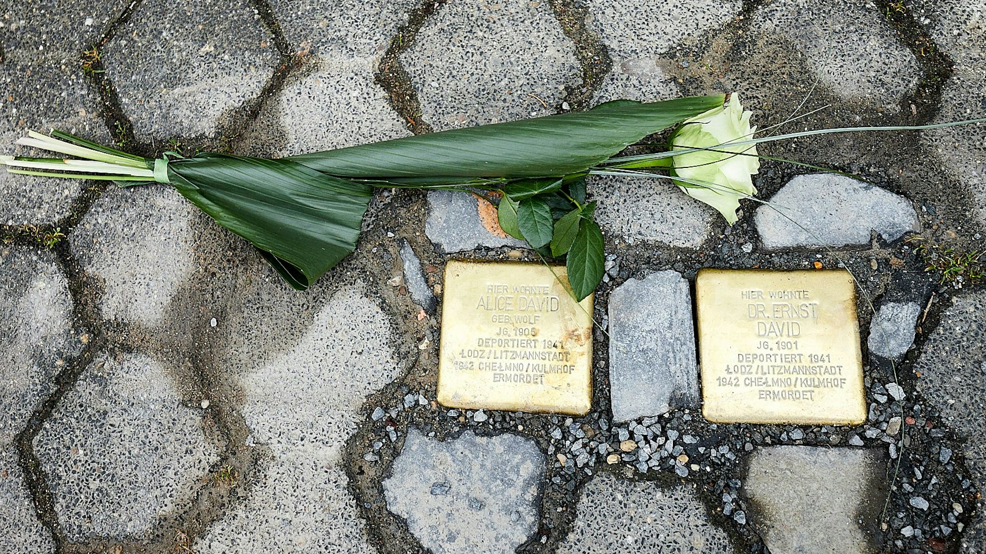 Das Bild zeigt die Stolpersteine für Alice und Ernst David.