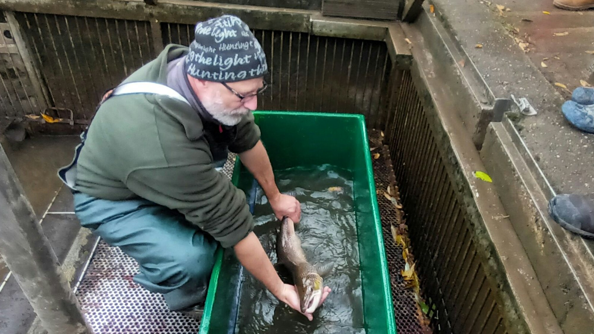 Ein Mann zeigt einen Fisch in einer Kunststoffwanne