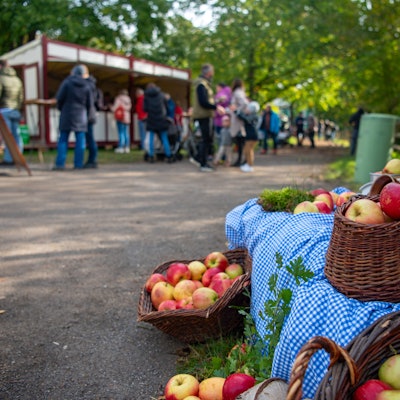 Äpfel liegen am Wegesrand im Freilichtmuseum Kommern. Im Hintergrund sind Menschen zu erkennen.
