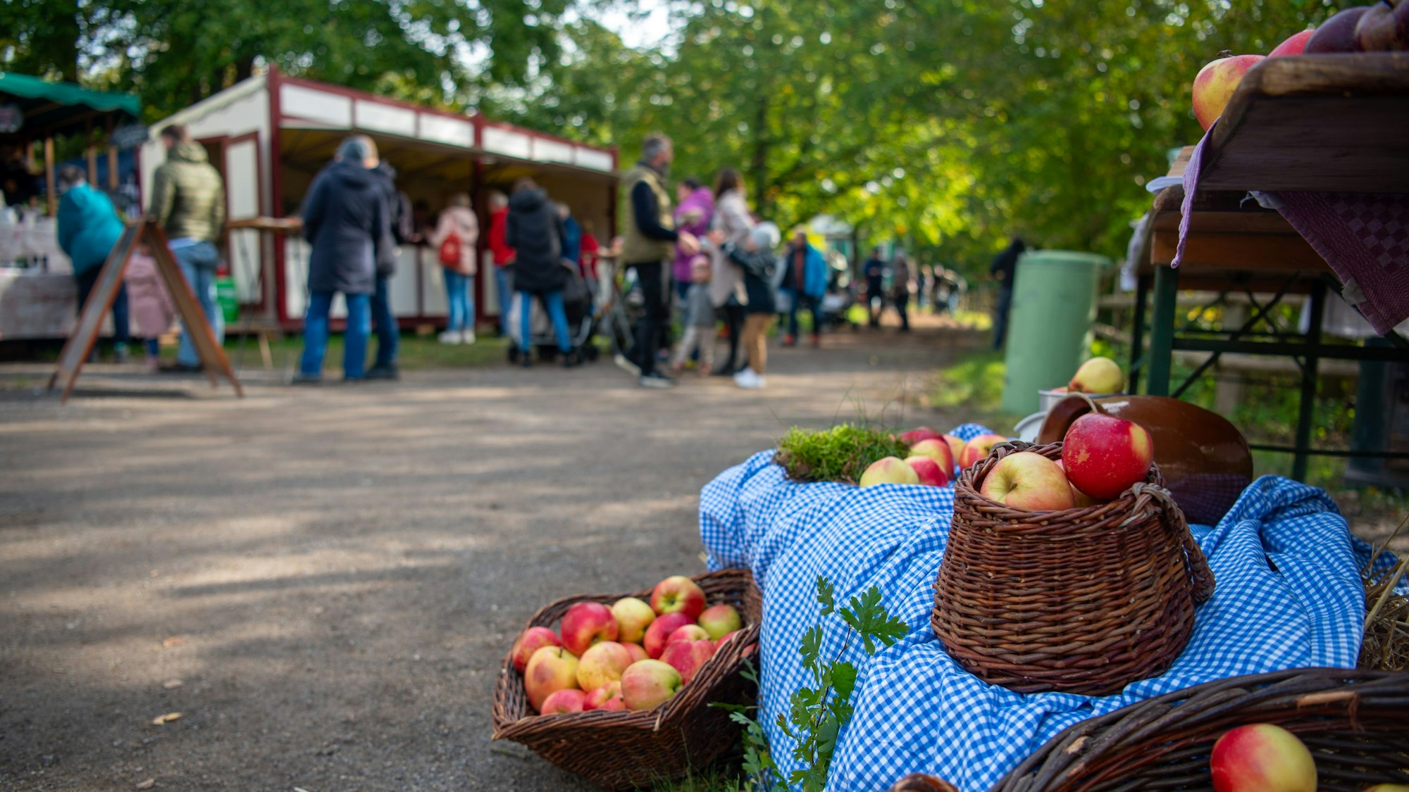 Äpfel liegen am Wegesrand im Freilichtmuseum Kommern. Im Hintergrund sind Menschen zu erkennen.