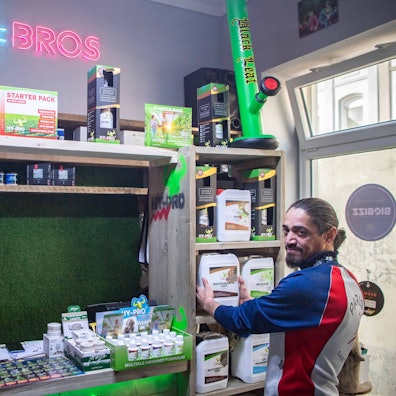 Ein Mann in Trainingsanzug steht in einem Geschäft für Cannabis-Zubehör.