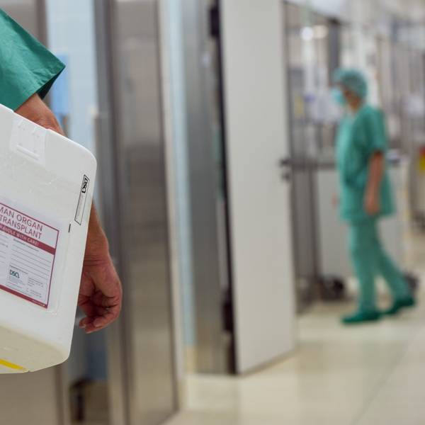 28.09.2012, Berlin: Ein Styropor-Behälter zum Transport von zur Transplantation vorgesehenen Organen wird an einem OP-Saal vorbei getragen.