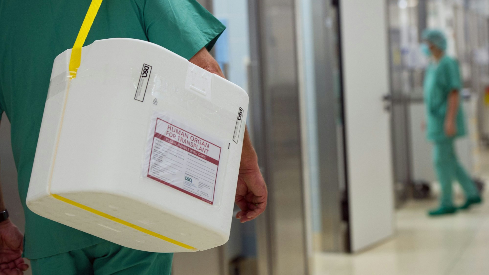 28.09.2012, Berlin: Ein Styropor-Behälter zum Transport von zur Transplantation vorgesehenen Organen wird an einem OP-Saal vorbei getragen.