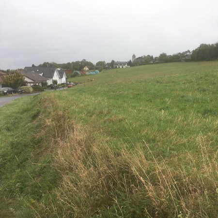 Eine große Wiese an einem sanft ansteigenden Hang, einige Wohnhäuser, Bäume und ein Kirchturm an den Rändern und im Hintergrund.