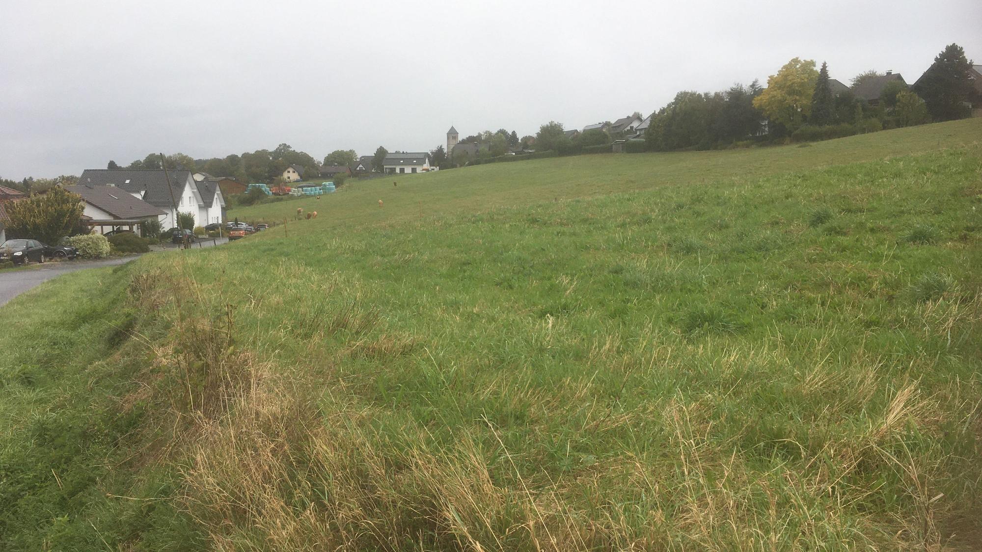 Eine große Wiese an einem sanft ansteigenden Hang, einige Wohnhäuser, Bäume und ein Kirchturm an den Rändern und im Hintergrund.