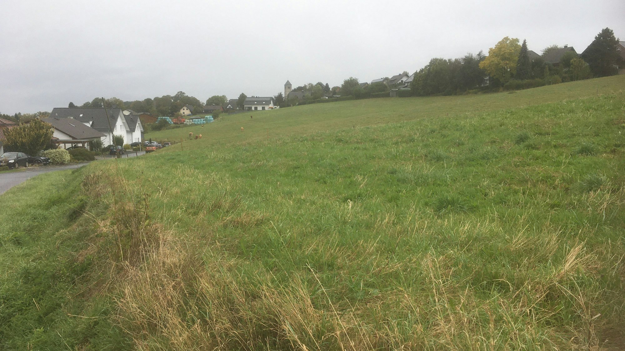 Eine große Wiese an einem sanft ansteigenden Hang, einige Wohnhäuser, Bäume und ein Kirchturm an den Rändern und im Hintergrund.