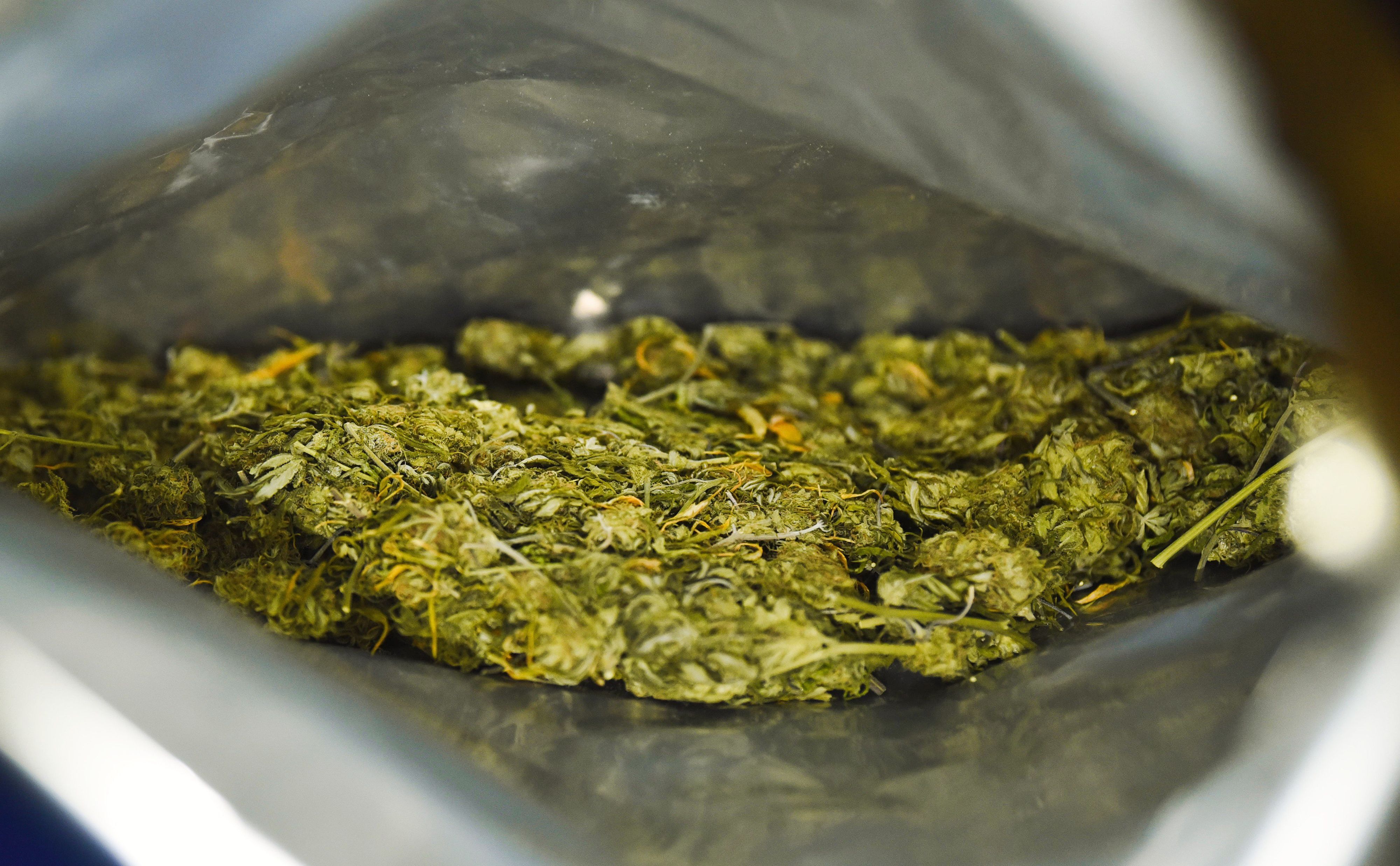Sichergestelltes Marihuana ist an einer Kontrollstelle der Polizei zu sehen.
