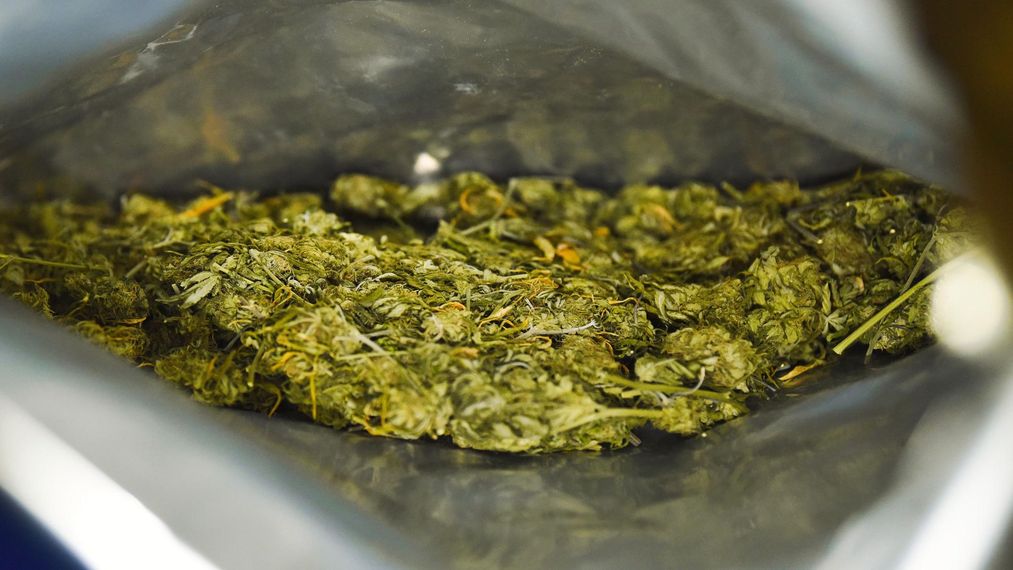Sichergestelltes Marihuana ist an einer Kontrollstelle der Polizei zu sehen.